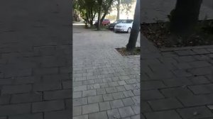 стрим в городе всем привет