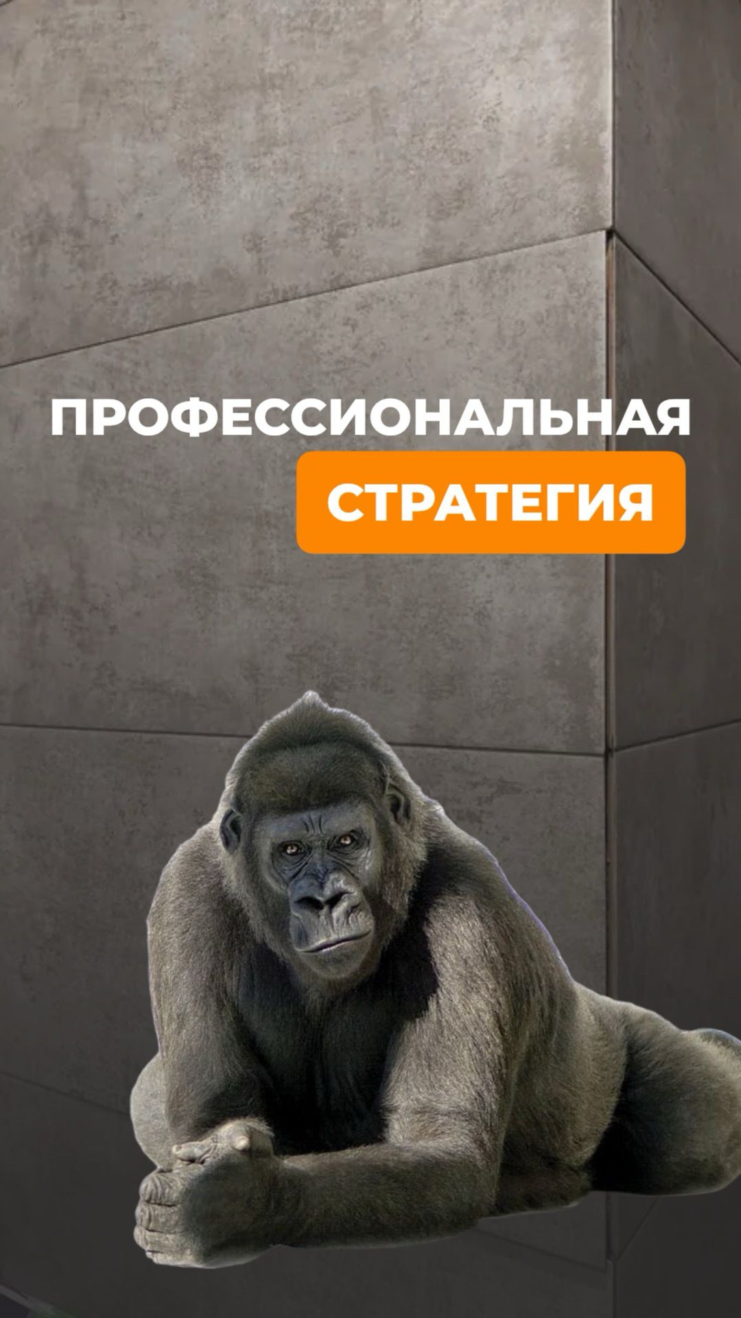 Профессиональная стратегия женского пола 😄🧡