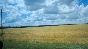 О ЖИЗНИ ДЕРЕВЕНСКОЙ 🏡