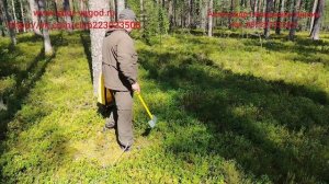 Сбор черники 2026.г испытания новых систем для сбора ягод. www.sbor-yagod.ru