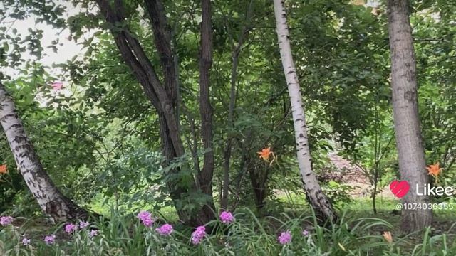 Фото как картина смотреть онлайн