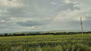 #16 Наша жизнь в Краснодарском крае. Купаемся в бассейне.  Едим арбуз. Покупаем мебель.