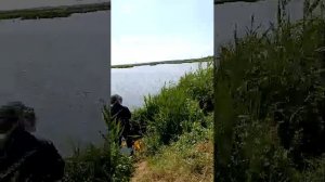 эфир на рыбалке
