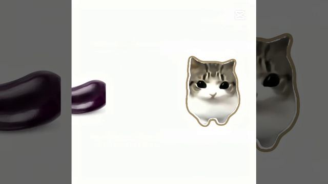 내가 좋아하는것 #띠리리리 고양이 #유행 #제발구독 смотреть онлайн