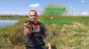 рыбалка на ротанов в свой день рождения!потягал на поплавочку