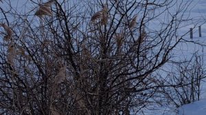 РЕКА ТОРГУН ЗИМОЙ.(18.01.2026 г.)❄️❄️❄️
