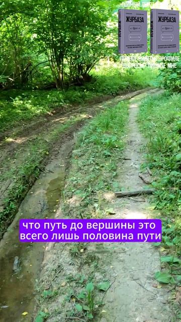 В бизнесе как в альпинизме