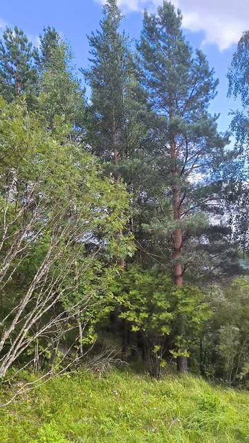 Спасская губа. Смотровая площадка👌 Карелия