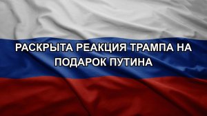 Раскрыта реакция Трампа на подарок Путина