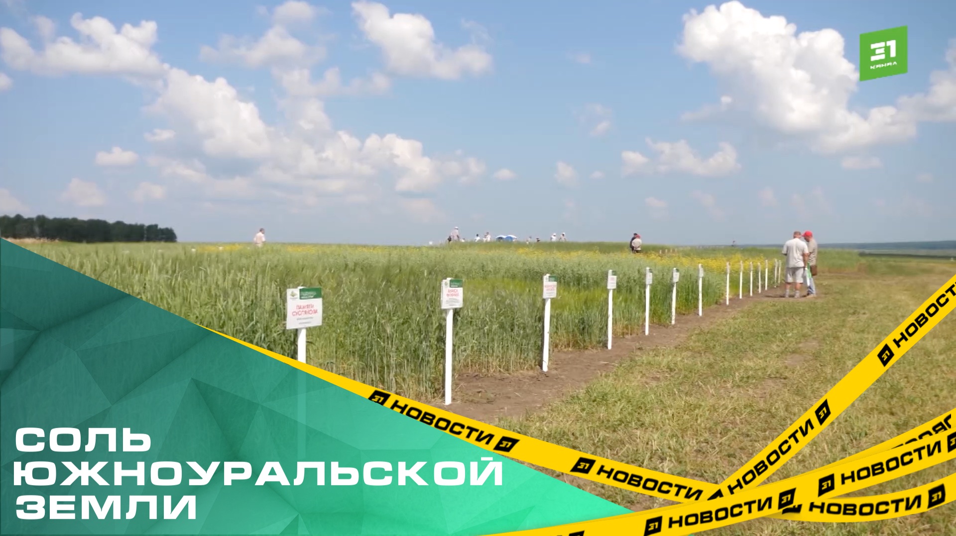 На выставке «День поля» представили тракторы без выхлопных газов и пшеницу, которой не страшны ливни смотреть онлайн