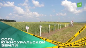 На выставке «День поля» представили тракторы без выхлопных газов и пшеницу, которой не страшны ливни