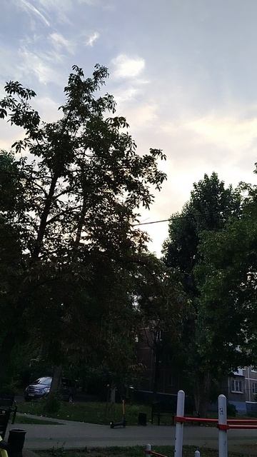 Циркадные ритмы организма смотреть онлайн