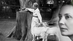 ИСТОРИЯ ЛЮБВИ , КОТОРАЯ ПОТРЯСЛА ВЕСЬ МИР : ВЕРА ЧАПЛИНА И ЕЁ ЗВЕРИ | ВАГАНЬКОВСКОЕ КЛАДБИЩЕ