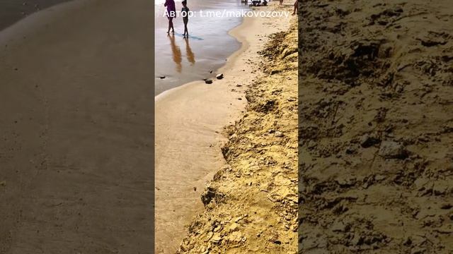 Пляжи Анапы превратились в глиняные рвы смотреть онлайн