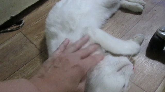Отдыхаем