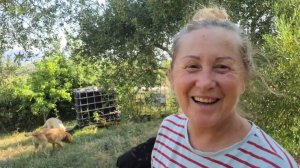 КАК ВЫЖИВАЮТ РУССКОЯЗЫЧНЫЕ В ИТАЛИИ: Чуть не погибла утром Стрес Жизнь в национальном парке Чиленто
