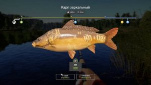 Russian Fishing 4 322 серия опять комариное