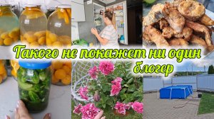 ДОМАШНИЙ ВЛОГ🌻МОЮ ХОЛОДИЛЬНИК 🧼ТОТ САМЫЙ КОМПОТ 🍊