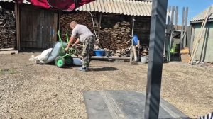 порядок с клубникой/ поливать помидоры? чем подкормить