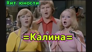 🔥 Хит 1977 г. песня из юности «Калина» от ВИА «Оризонт». Душевно из СССР !!!