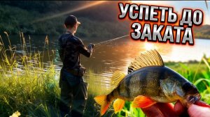 Ловля окуня в вечерний выход. Микроджиг на заросшей малой реке