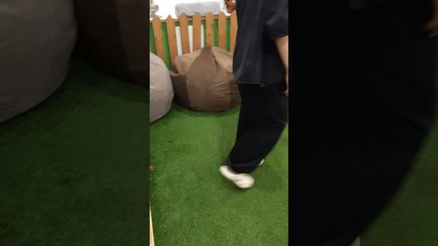 Музеи и выставки, зоопарк и океанариум