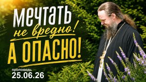 Мечтать не вредно!... НО ОПАСНО!