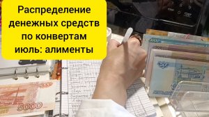 распределение денежных средства по конвертам: июль/алименты 💰💰💰