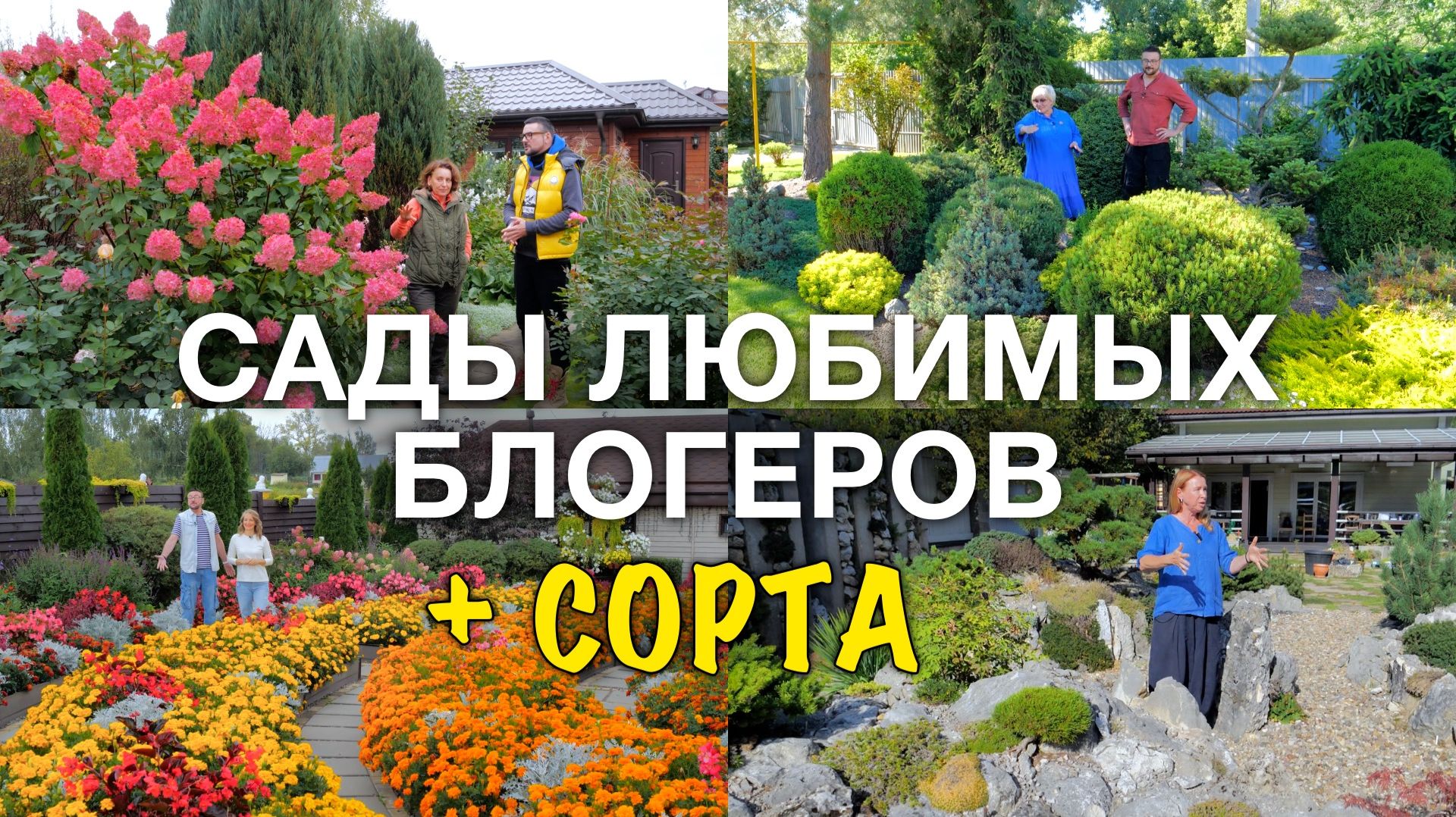 Сады любимых блогеров смотреть онлайн