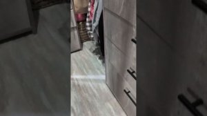 Барни VS Я