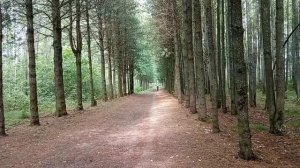 Субботний влог из нашего парка.