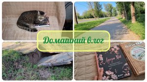 Жара в Перми. Кот ученый. Проблемы с УК. Книги Луизы Хэй. Мини вентилятор.