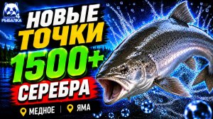 🤑 ТОП-4 ТОЧКИ ФАРМА РР4 (25.07)! СВОДКА по ВОДОЕМАМ РР4 Фарм СЕРЕБРА! МЕДНОЕ • РЕКА ЯМА