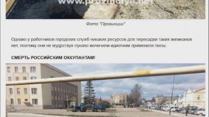 Балта. Улица Ломоносова. Спилили деревья