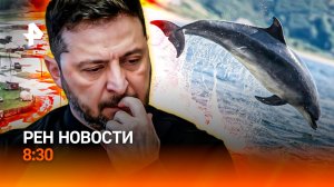 «Исповедь» Зеленского / Лето разделилось надвое / Убийственный хайп / РЕН Новости 8:30, 25.07.26