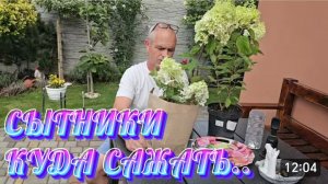 САМВЕЛ АДАМЯН, СЫТНИКИ, КУДА САЖАТЬ..