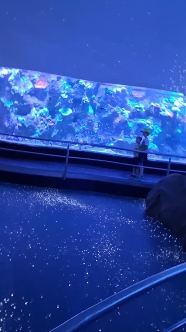 Наше последние путешествие...🤩 смотреть онлайн