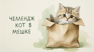 ЧЕЛЛЕНДЖ КОТ В МЕШКЕ июль 2026