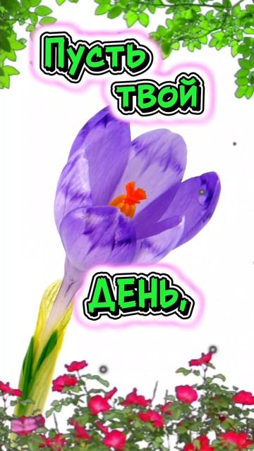 🌱Доброе утро с радостью на душе!