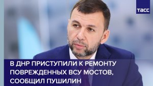 В ДНР приступили к ремонту поврежденных ВСУ мостов, сообщил Пушилин