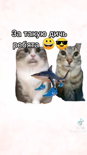 не крадите вы браинротов