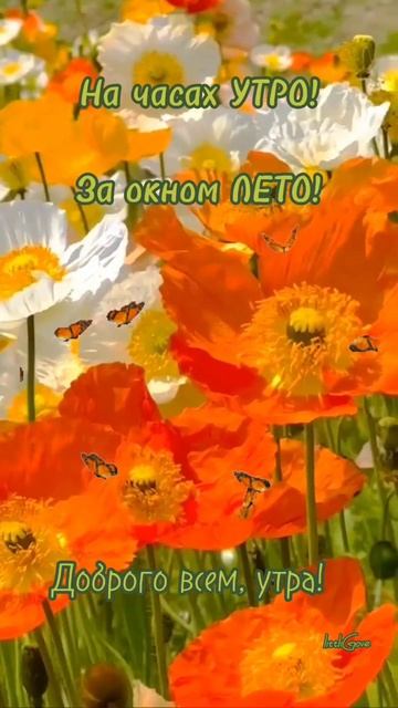 Доброе утречко ☕ друзья