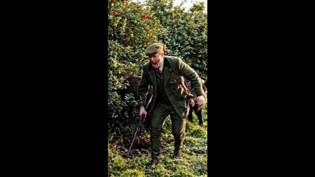 Охота на кабана 1 смотреть онлайн