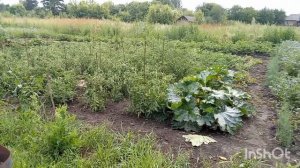 На пенсии в деревне. Выпуск от 23.07.2026