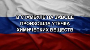 В Стамбуле на заводе произошла утечка химических веществ