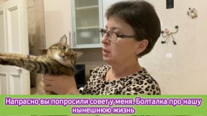 Напрасно вы попросили совет у меня. Болталка про нашу нынешнюю жизнь