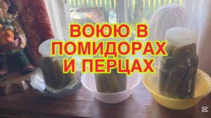 25/7 26  ОЗВЕРИНУ НАЖРАЛИСЬ. ВОРОНА МОЕТСЯ ЗА НАШ СЧЕТ. ДЕТДОМОВЦЫ С ГОЛЫМИ НОЖКАМИ.