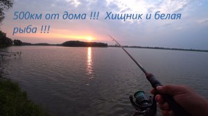 500км от дома Утьма / Семейный выезд / Хищник и белая рыба / Летняя рыбалка.