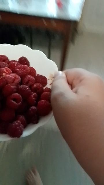 25-07-2026 смотреть онлайн