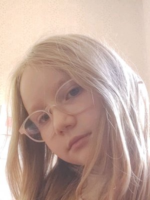 делаем домик для кошечки плюс полю лицо